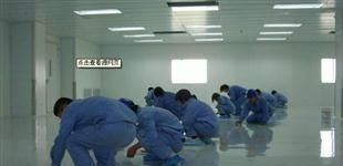 金州新區(qū)專業(yè)小偉家政服務部
